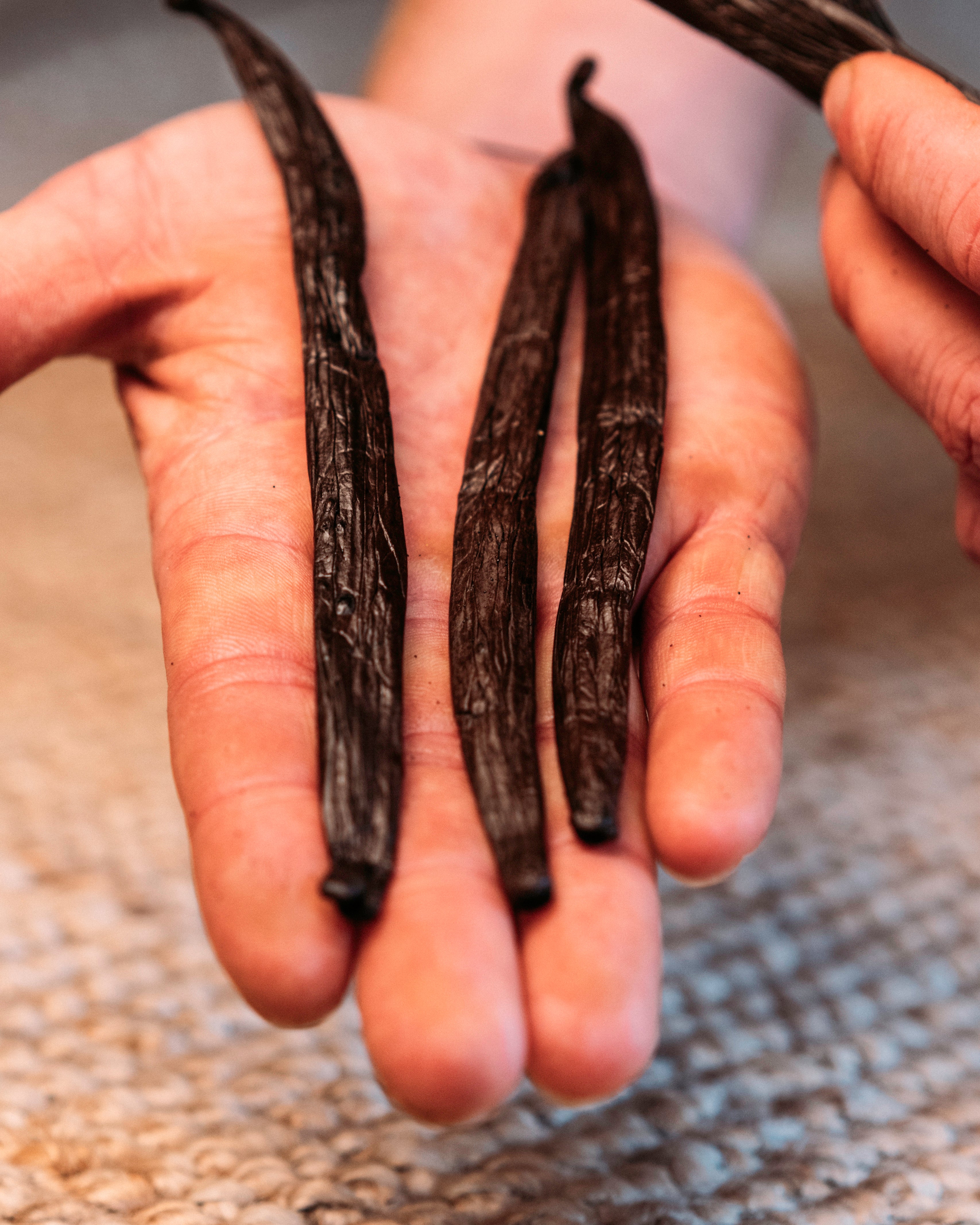 Grade A Madagascar Vanilla Beans 20cm — Bourbon