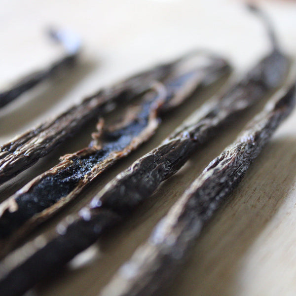 Premium Bourbon Madagascar Vanilla Beans 20cm