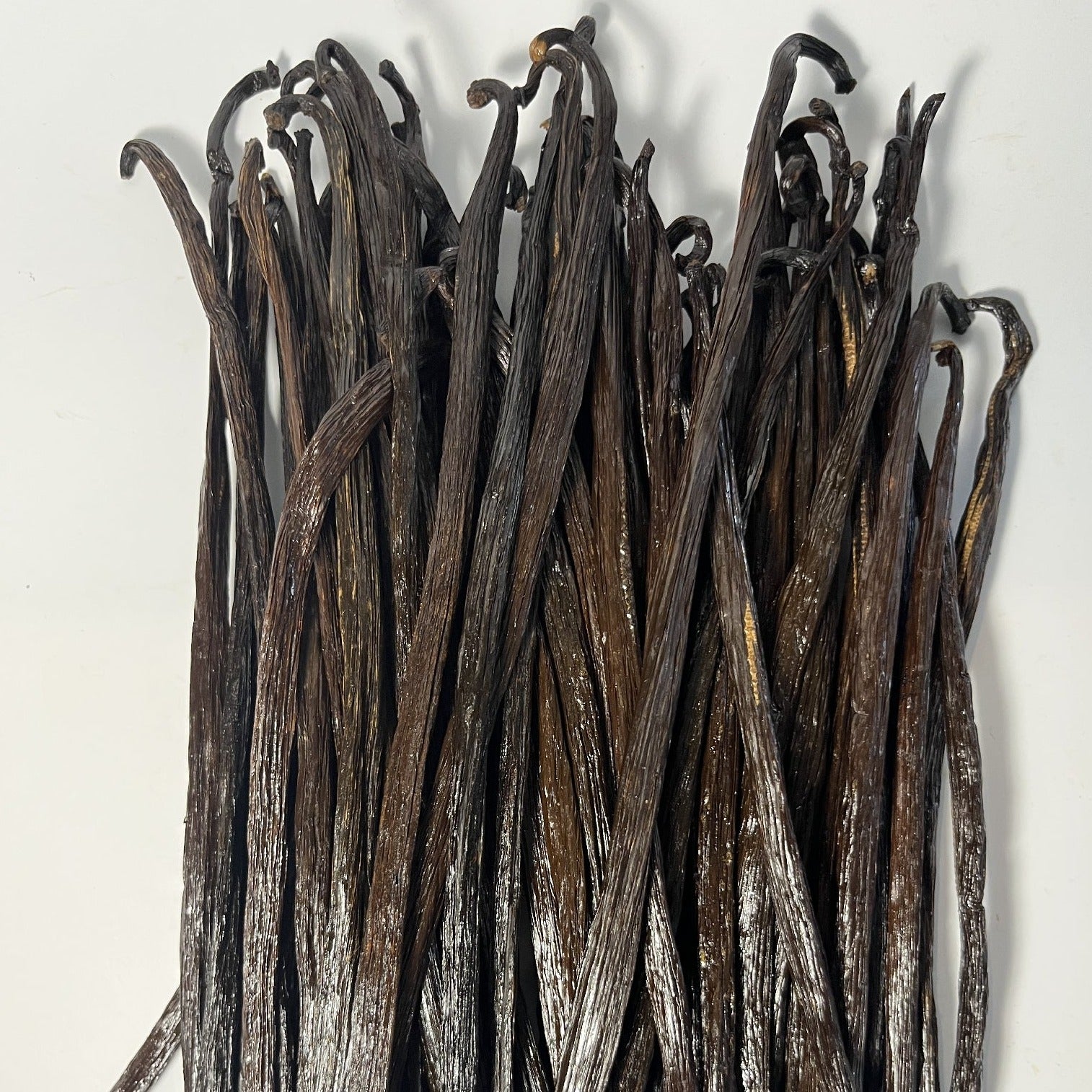 Isle of Bali "Wild" Vanilla Beans