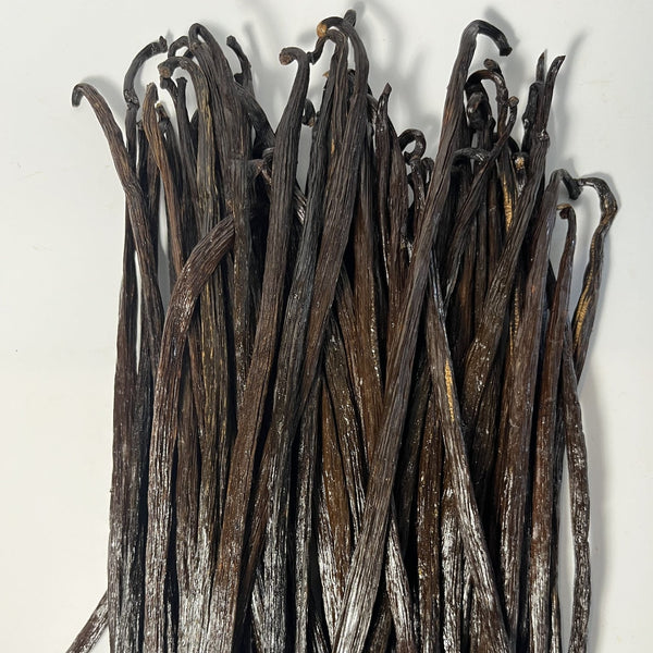 Isle of Bali "Wild" Vanilla Beans